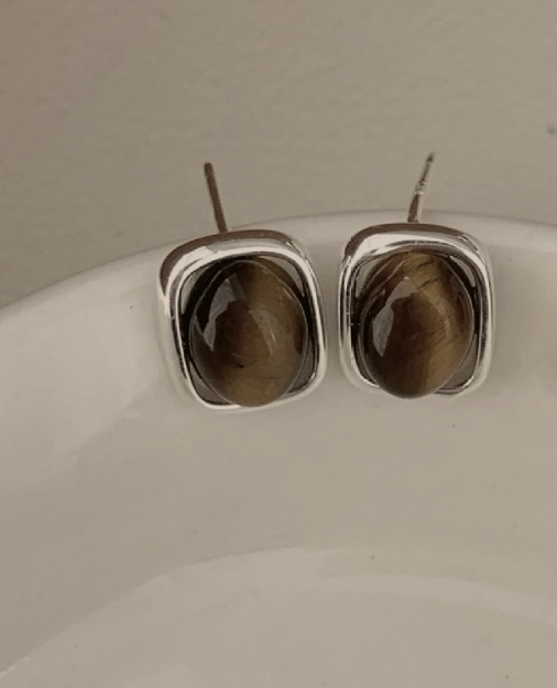 The Framed Tiger's Eye Stud Earrings